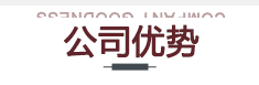 我們的優(yōu)勢(shì)